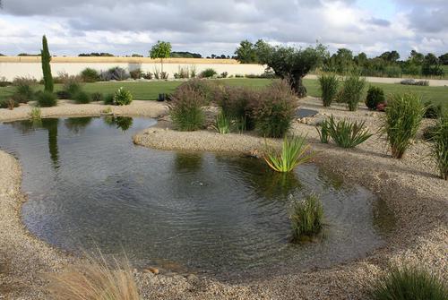 Bassin d’agrément