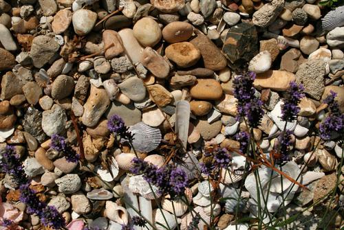 Paillage galet de mer